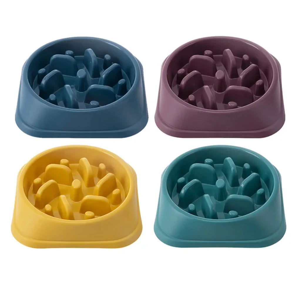 Gamelle anti-glouton pour chien – bol à nourrir lentement, antidérapant, petits et moyens chiens
