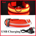 Collier lumineux LED rechargeable USB pour chien et chat – 3 modes