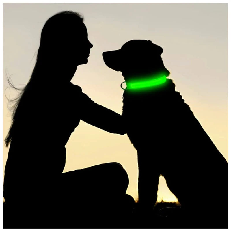 Collier lumineux LED rechargeable USB pour chien et chat – 3 modes