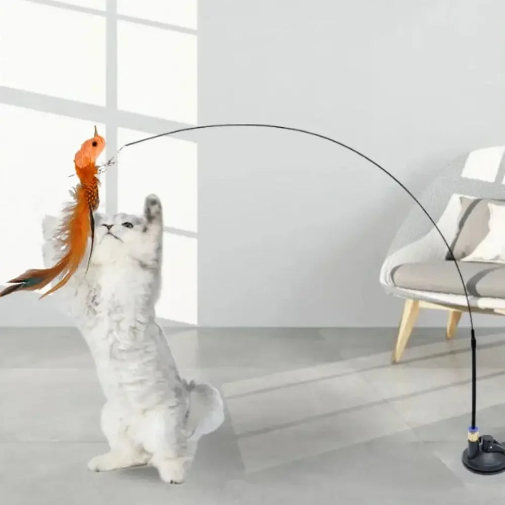 Jouet à plumes pour chat – oiseau réaliste interactif, tête de rechange à ventouse