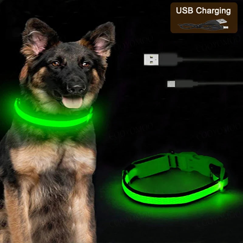 Collier lumineux LED rechargeable USB pour chien et chat – 3 modes