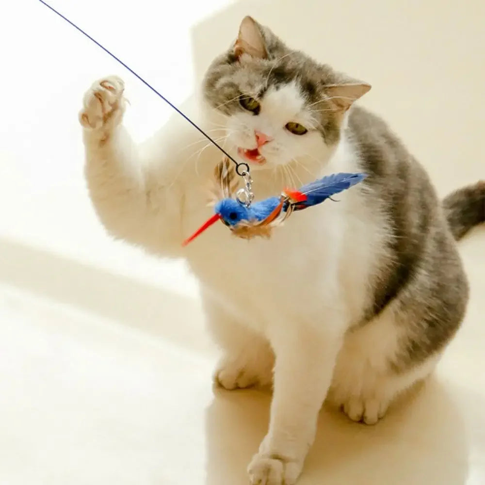 Jouet à plumes pour chat – oiseau réaliste interactif, tête de rechange à ventouse