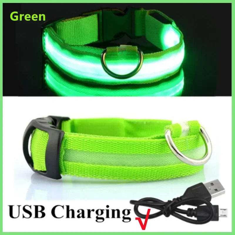 Collier lumineux LED rechargeable USB pour chien et chat – 3 modes