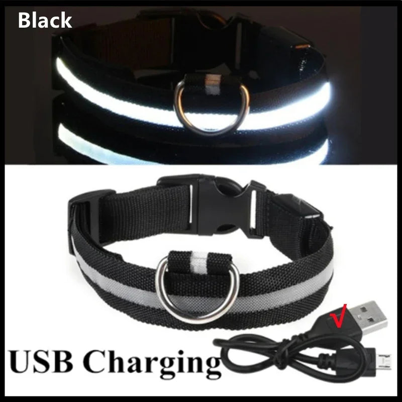 Collier lumineux LED rechargeable USB pour chien et chat – 3 modes