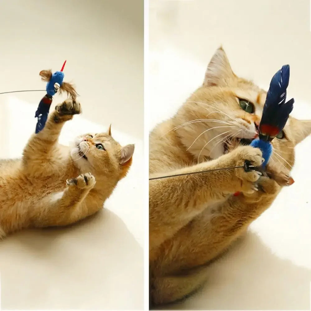 Jouet à plumes pour chat – oiseau réaliste interactif, tête de rechange à ventouse