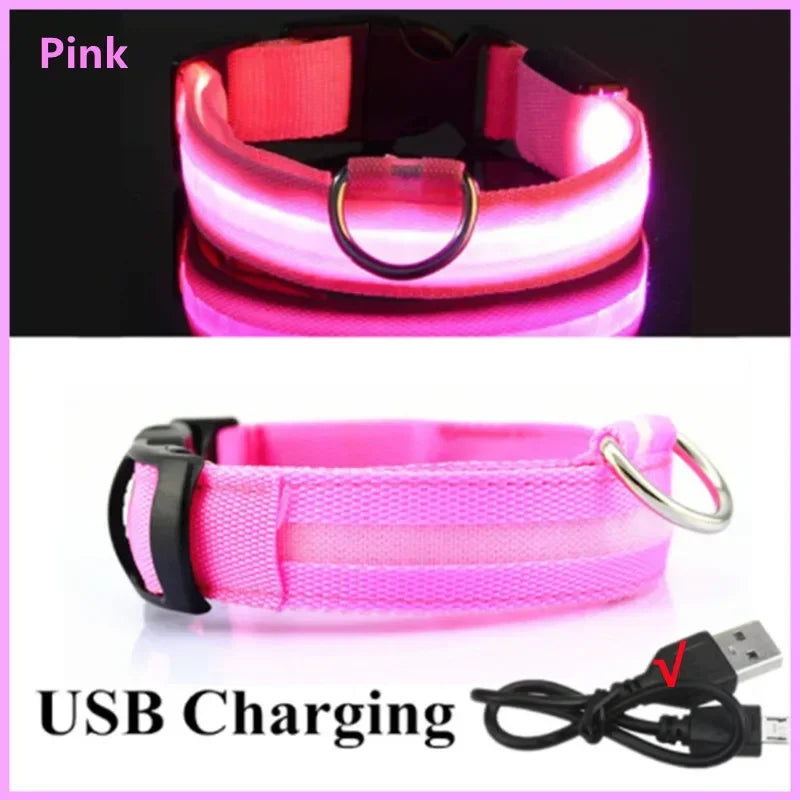 Collier lumineux LED rechargeable USB pour chien et chat – 3 modes