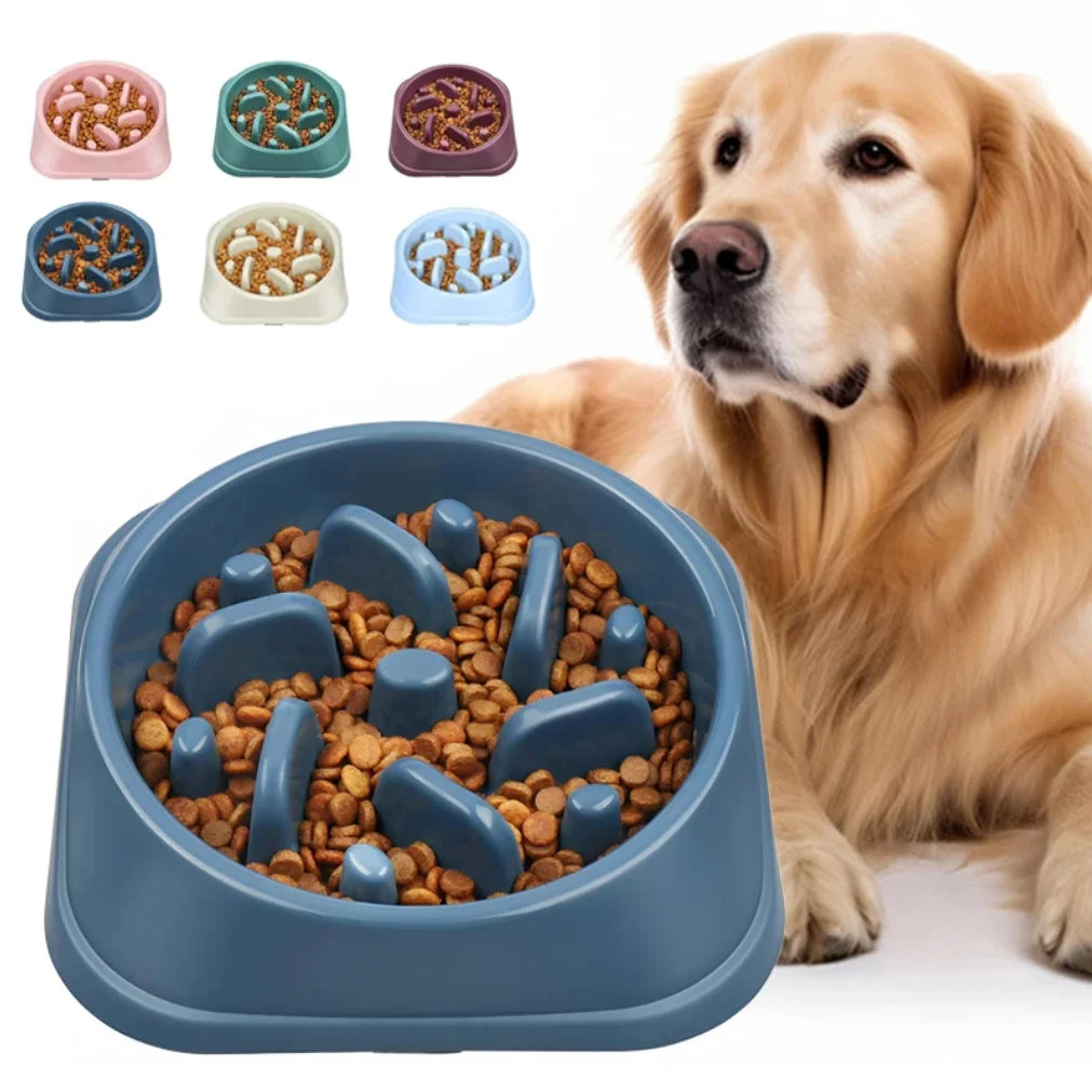 Gamelle anti-glouton pour chien – bol à nourrir lentement, antidérapant, petits et moyens chiens