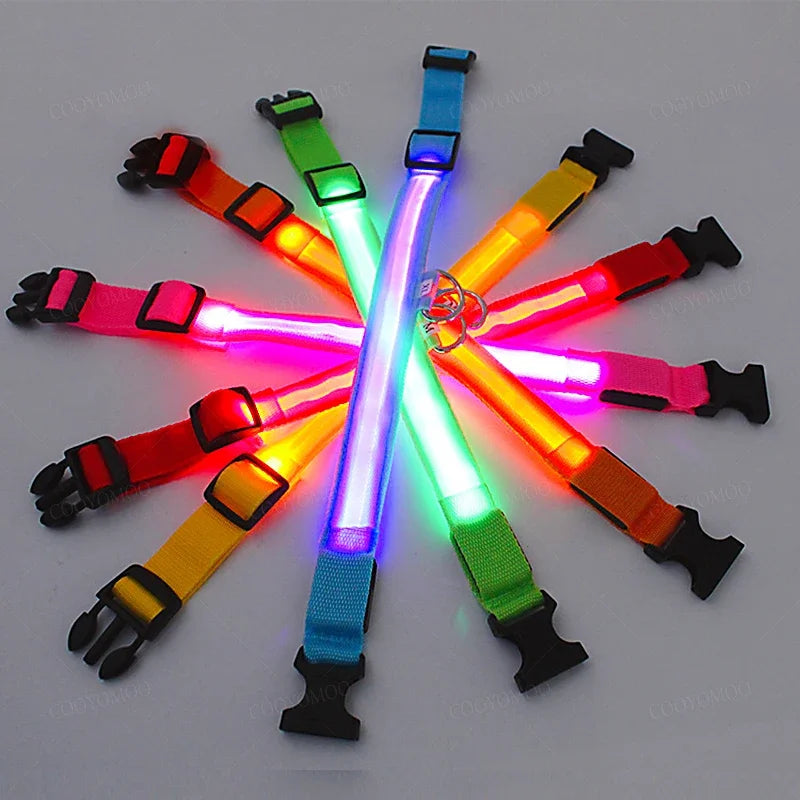 Collier lumineux LED rechargeable USB pour chien et chat – 3 modes