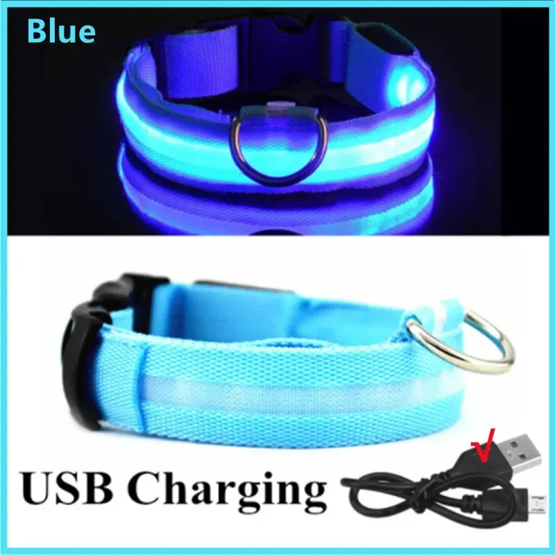 Collier lumineux LED rechargeable USB pour chien et chat – 3 modes