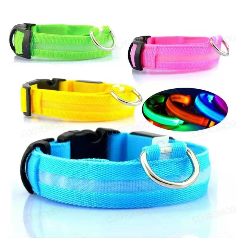 Collier lumineux LED rechargeable USB pour chien et chat – 3 modes